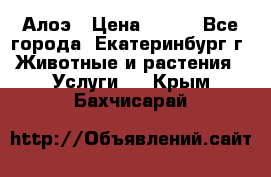 Алоэ › Цена ­ 150 - Все города, Екатеринбург г. Животные и растения » Услуги   . Крым,Бахчисарай